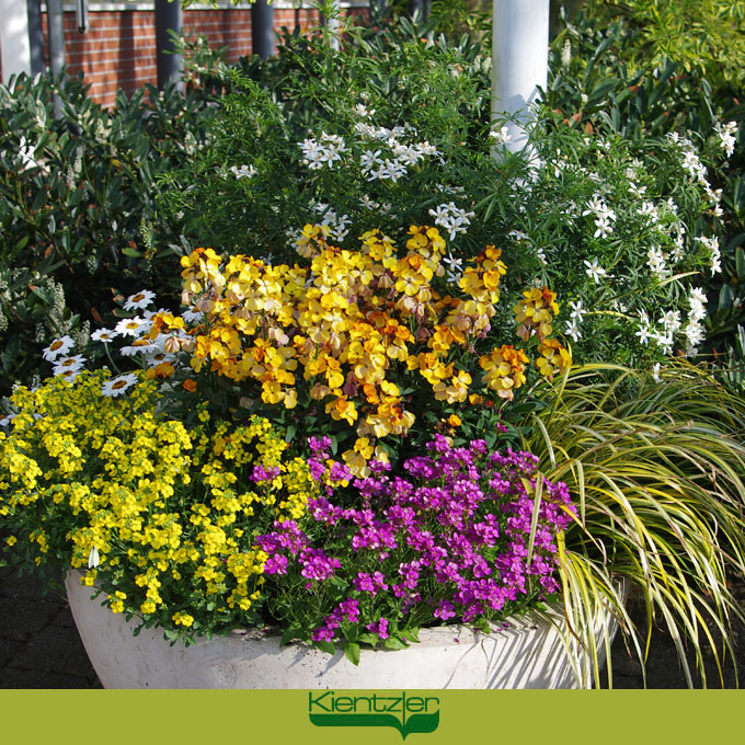 Frühling auf Balkon und Terrasse