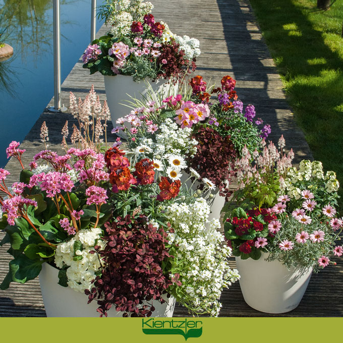 Frühling auf der Terrasse genießen