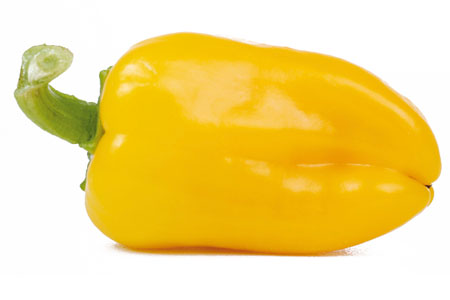 Capsicum  Snacky Yellow