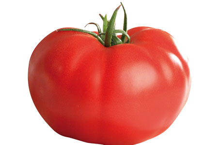 Tomate Supersteak