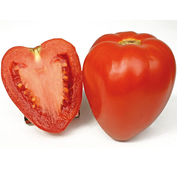 Tomate Fleurette - Fleischtomate