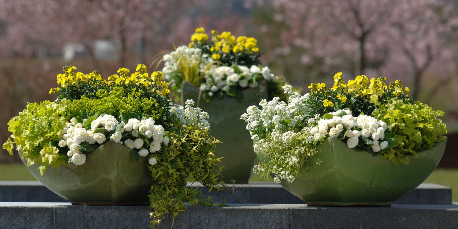 Kientzler Garten im Frühling