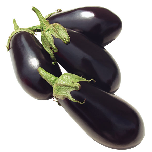 Aubergine Elisa - Aubergine im Garten Aubergine Elisa - Aubergine im Garten