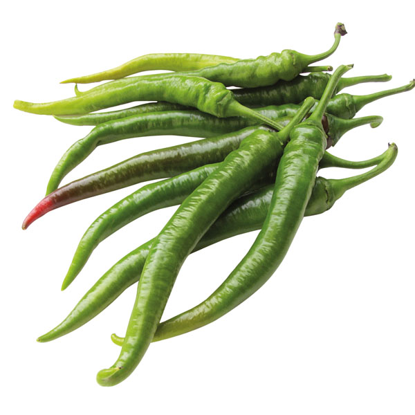 Chili Sumher - milder Chili auf Balkon und Terrasse Chili Sumher - milder Chili auf Balkon und Terrasse