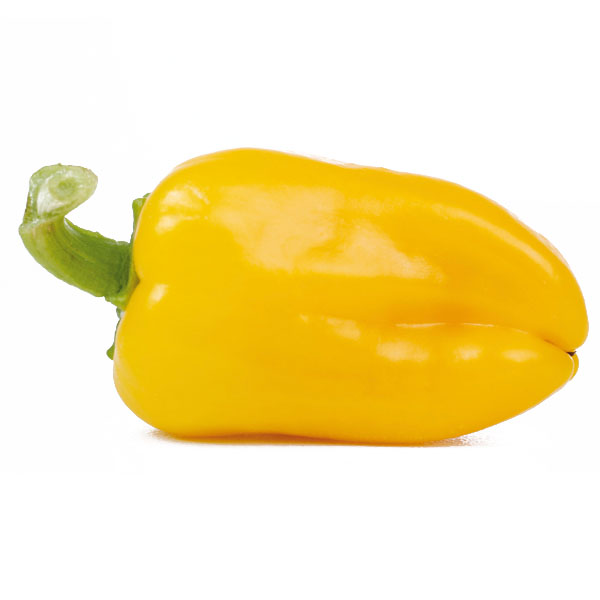Paprika Snacky Yellow - Gourmetzauber-Gemüse im Garten