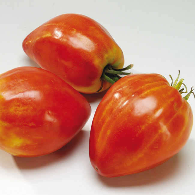 Tomate Coeur de Boeuf