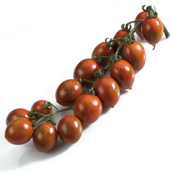 Cocktailtomate Cookie - Gourmetzauber-Tomate Cocktailtomate Cookie - Gourmetzauber-Tomate