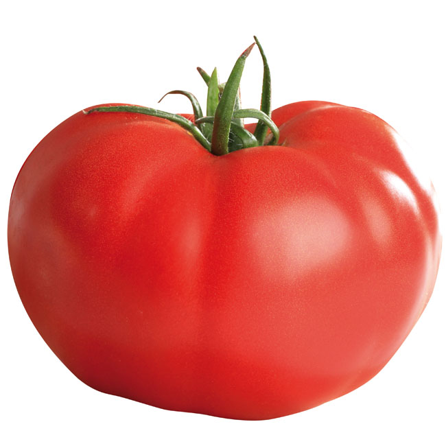 Tomate 'Supersteak' Tomate 'Supersteak'