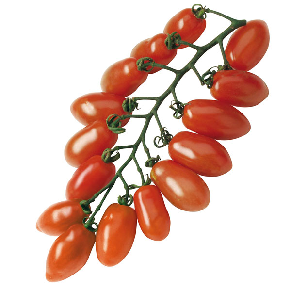 Tomate Trilly - Cherrytomate Tomate Trilly - Cherrytomate