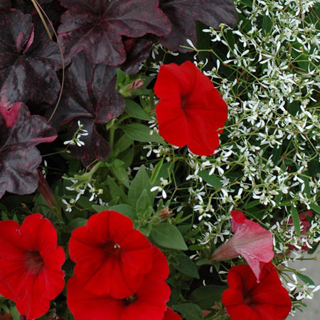 Stimmige Farben für die Terrasse