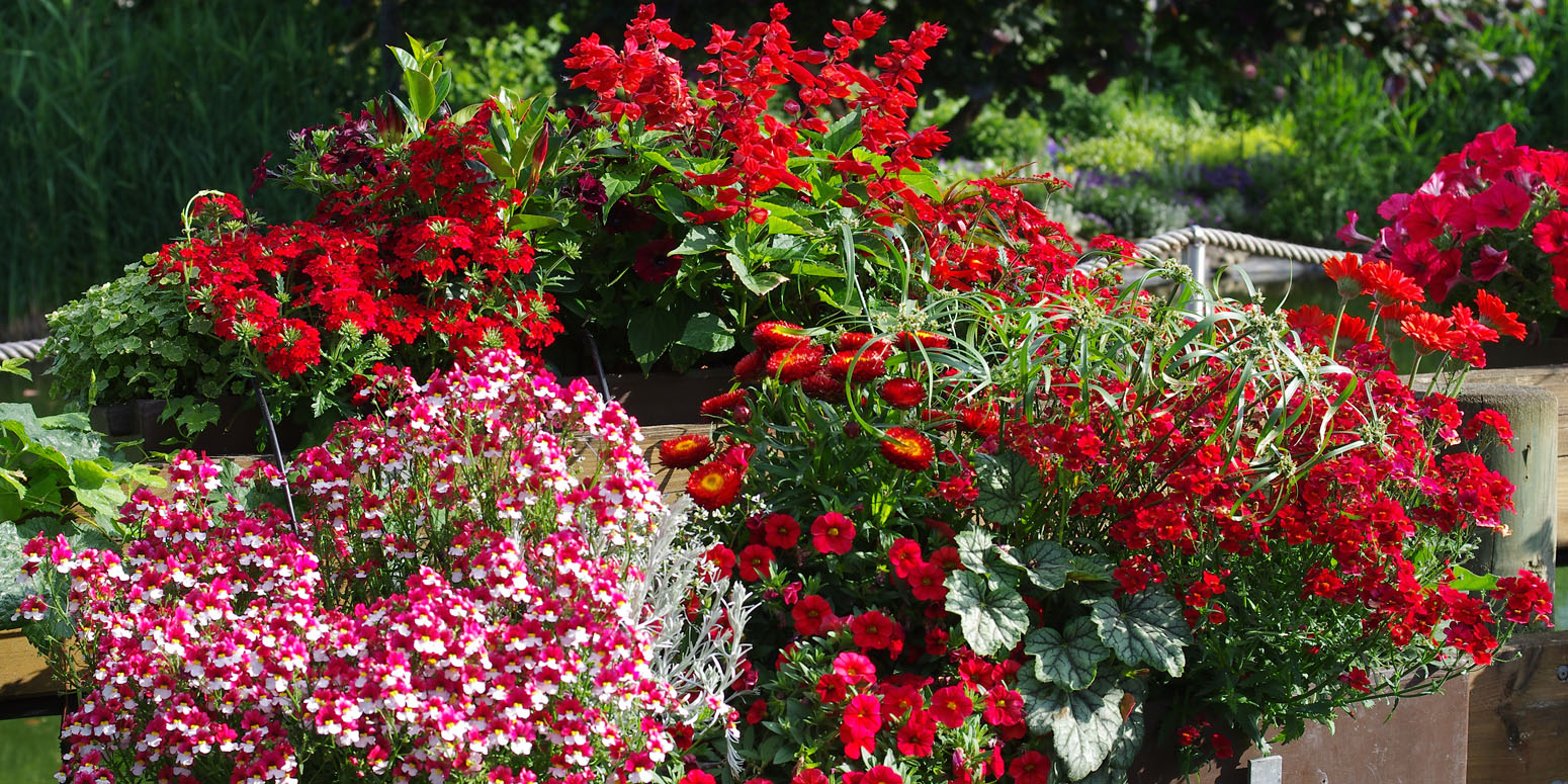 Kientzler Garten im Sommer